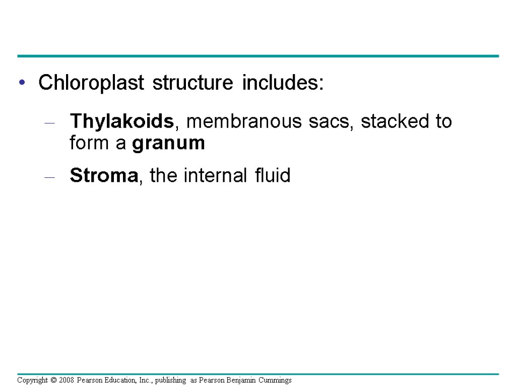 Chloroplast structure includes: Thylakoids, membranous sacs, stacked to form a granum Stroma, the internal
